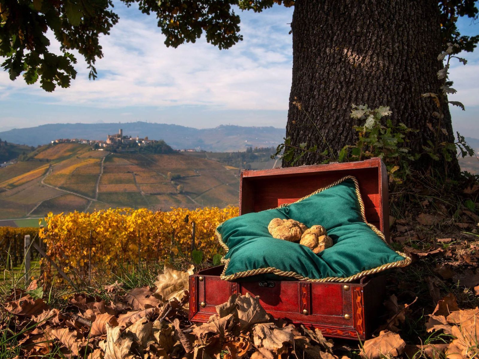 Food art - Langhe Experience Tours and Events