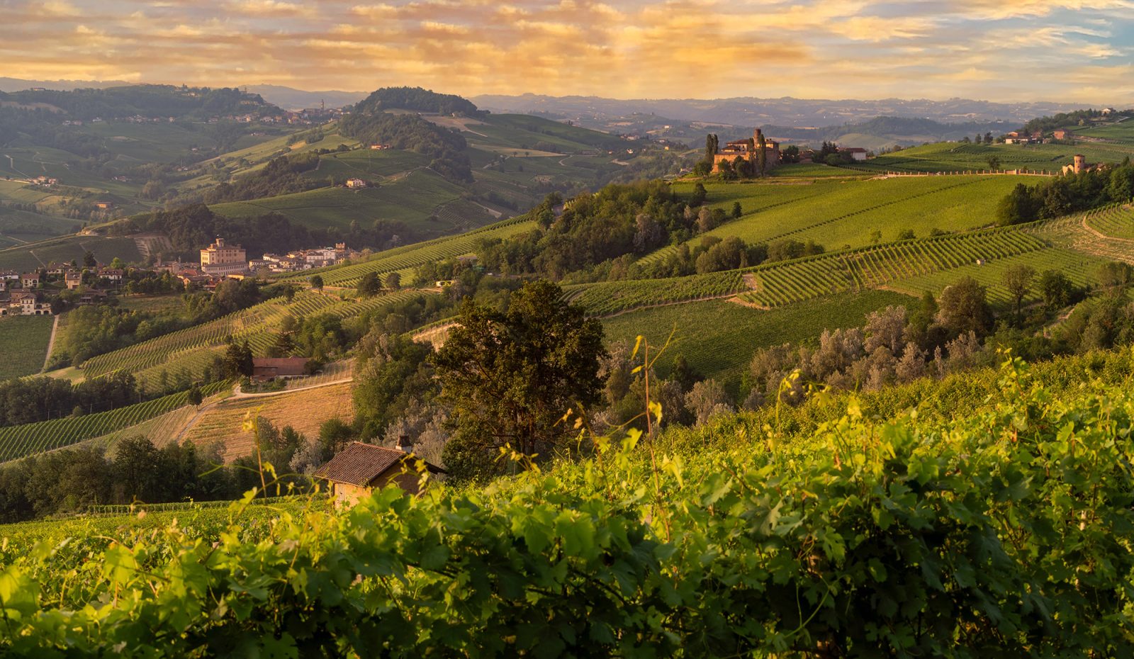 Langhe Hills, Piemonte - Langhe Experience Tours and Events