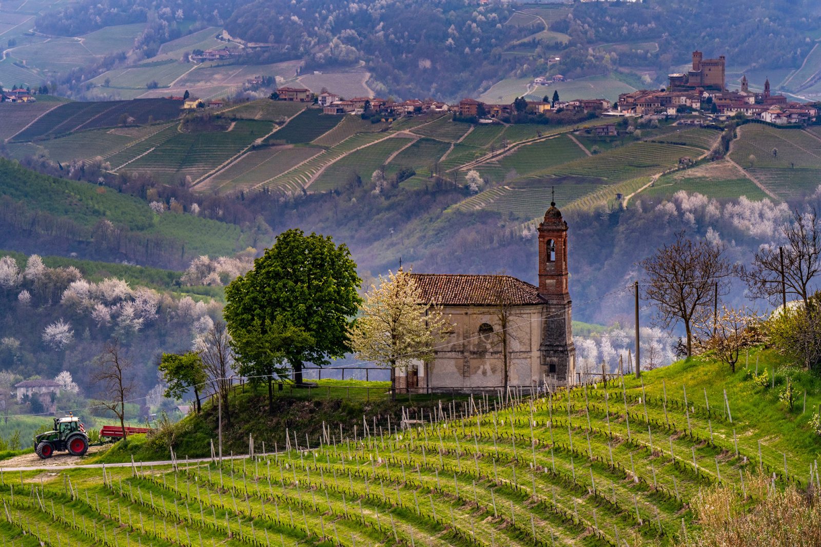 Langhe Hills, Piemonte - Langhe Experience Tours and Events