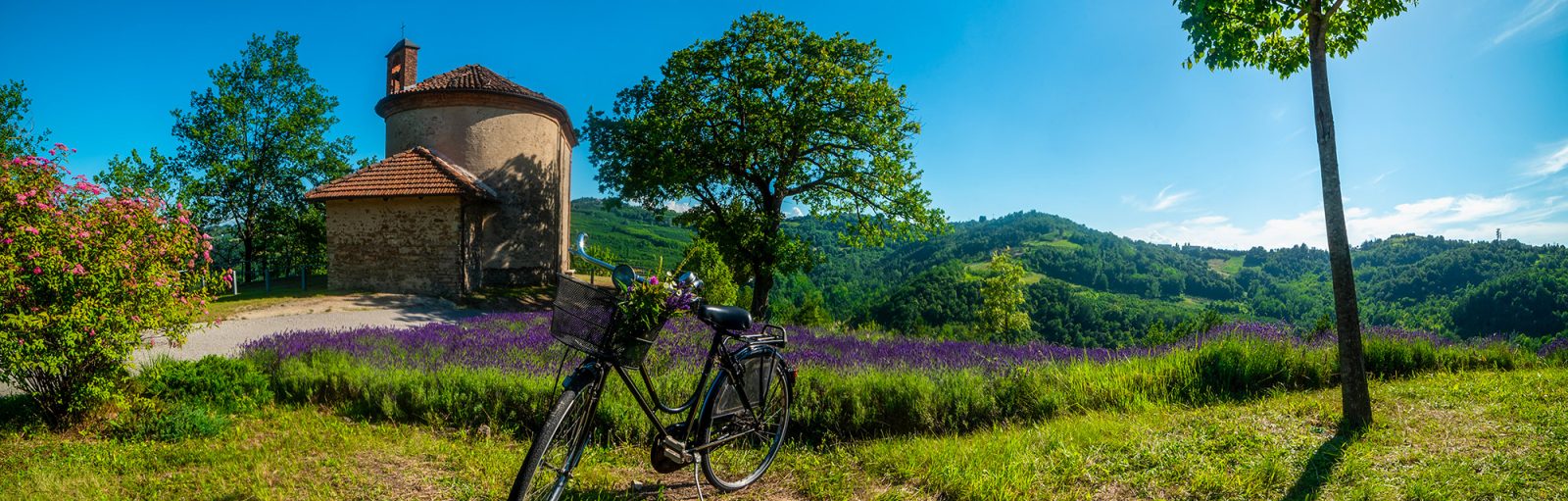 Langhe Hills, Piemonte - Langhe Experience Tours and Events