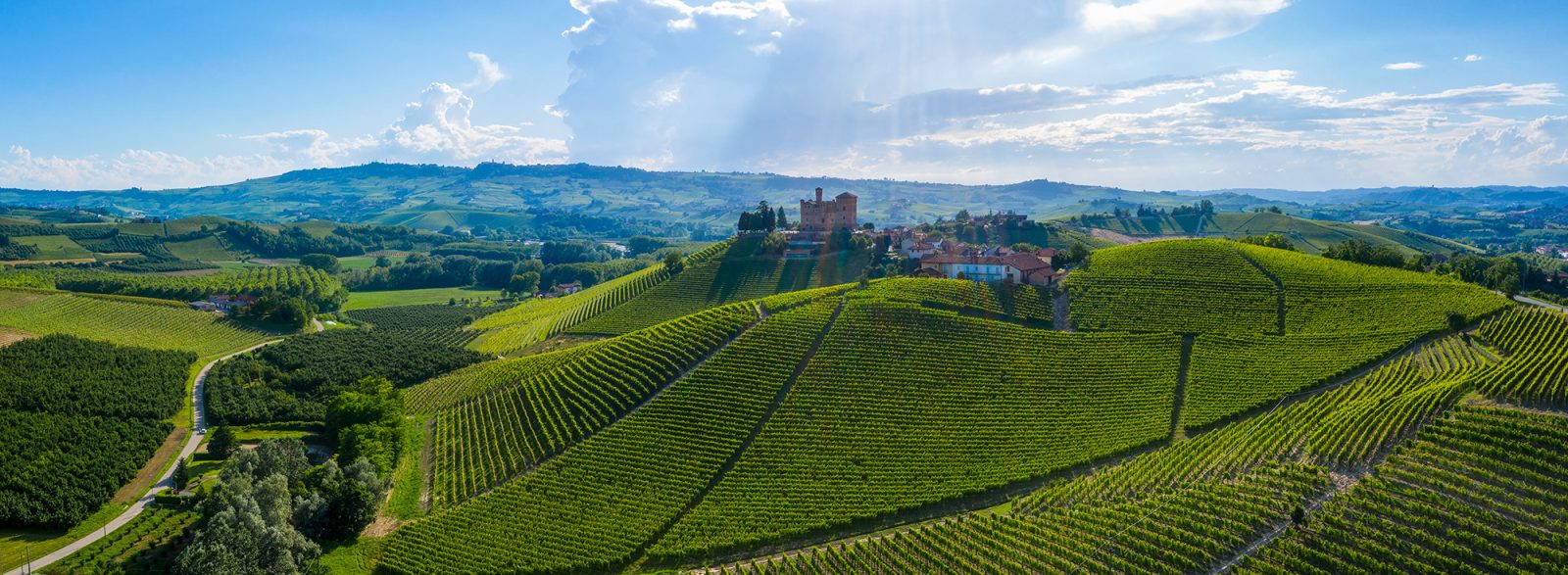 Langhe Hills, Piemonte - Langhe Experience Tours and Events