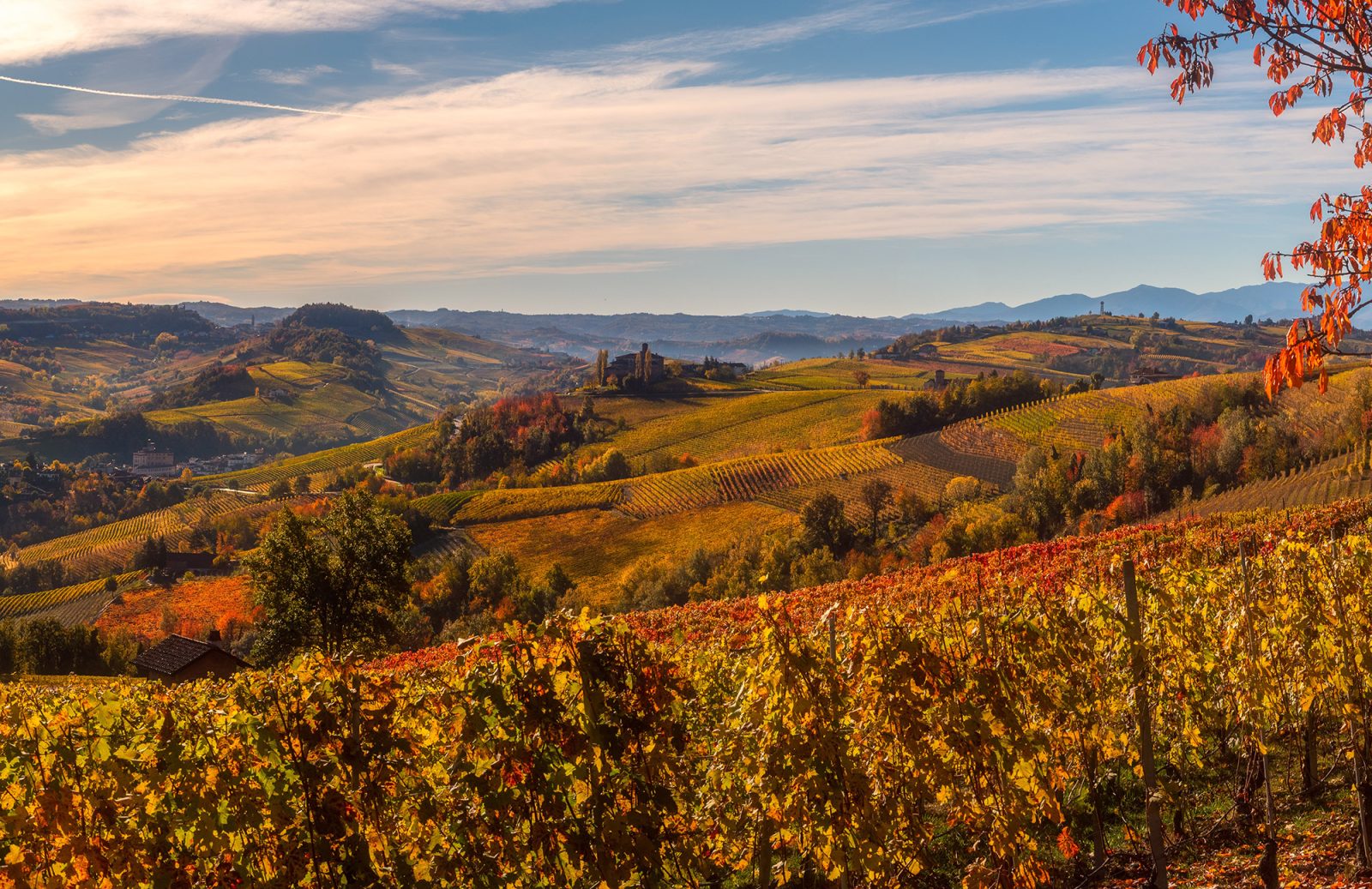 Langhe Hills, Piemonte - Langhe Experience Tours and Events