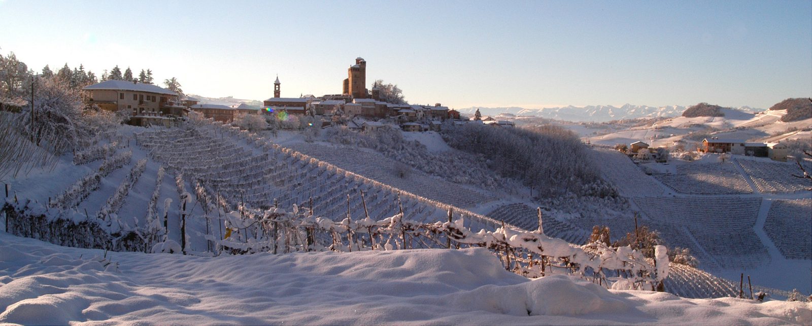 Langhe Hills, Piemonte - Langhe Experience Tours and Events