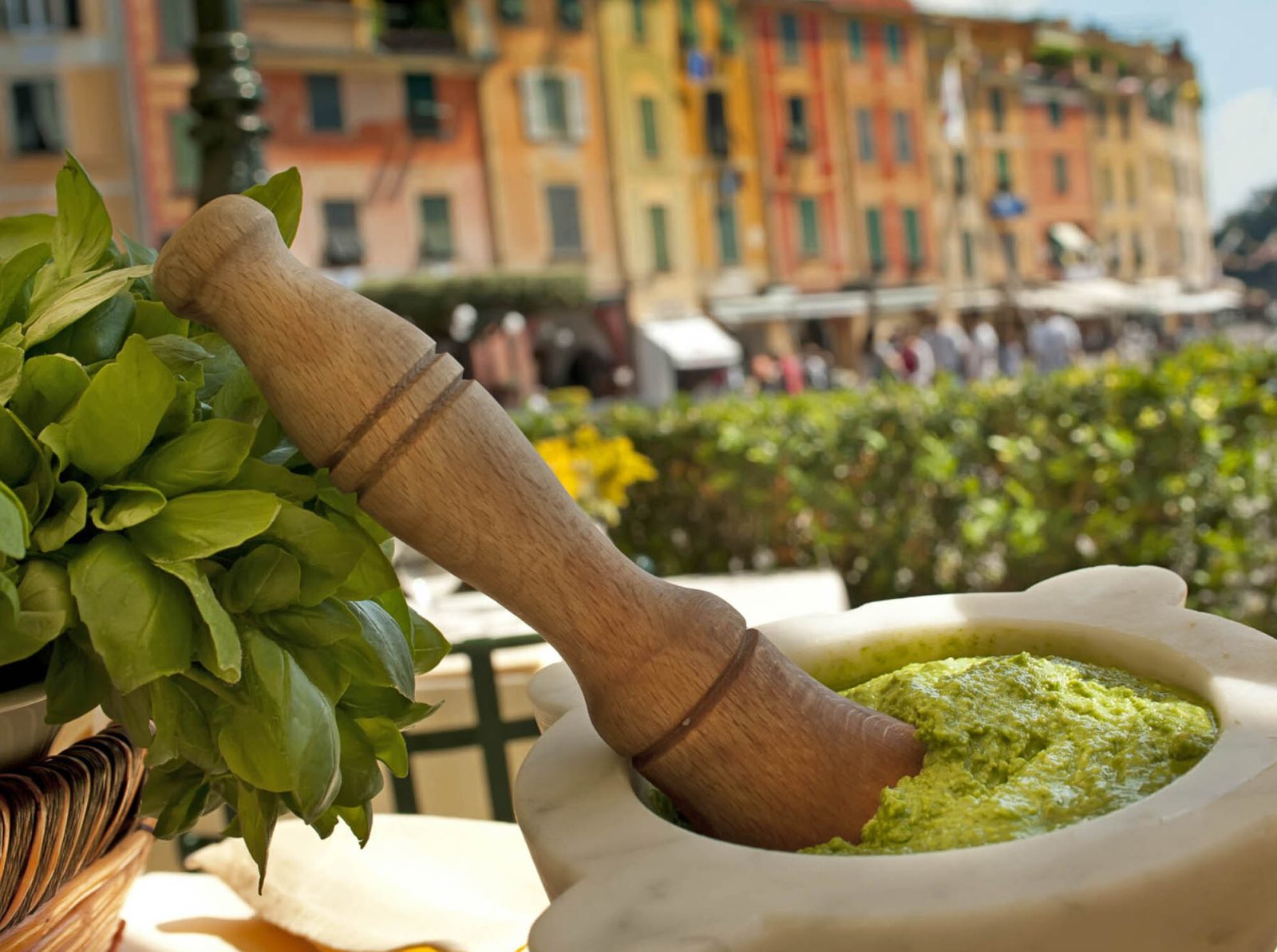 Ligurian Riviera - Langhe Experience Tours and Events
