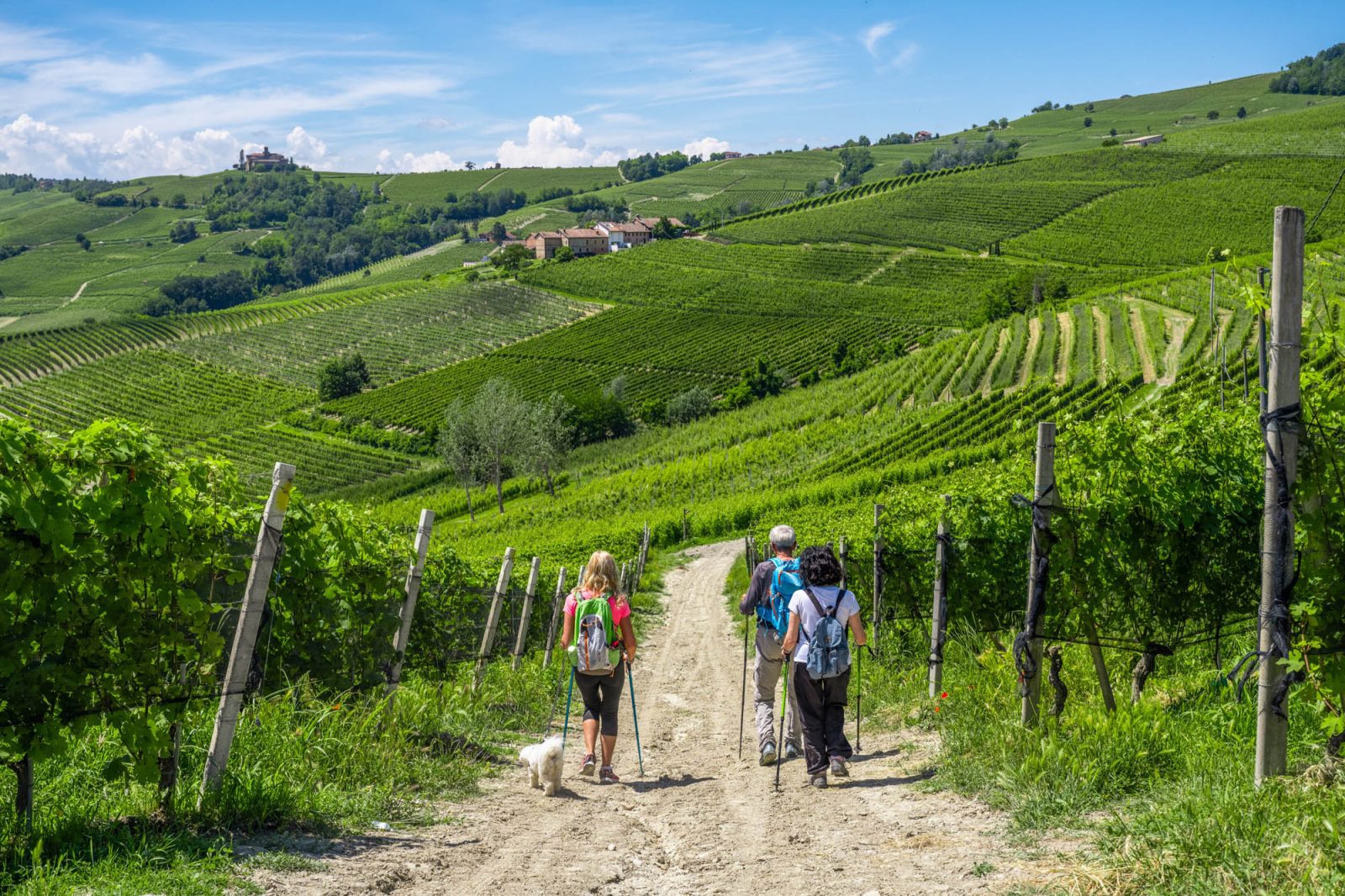 Private day tours - Langhe Experience Tours and Events