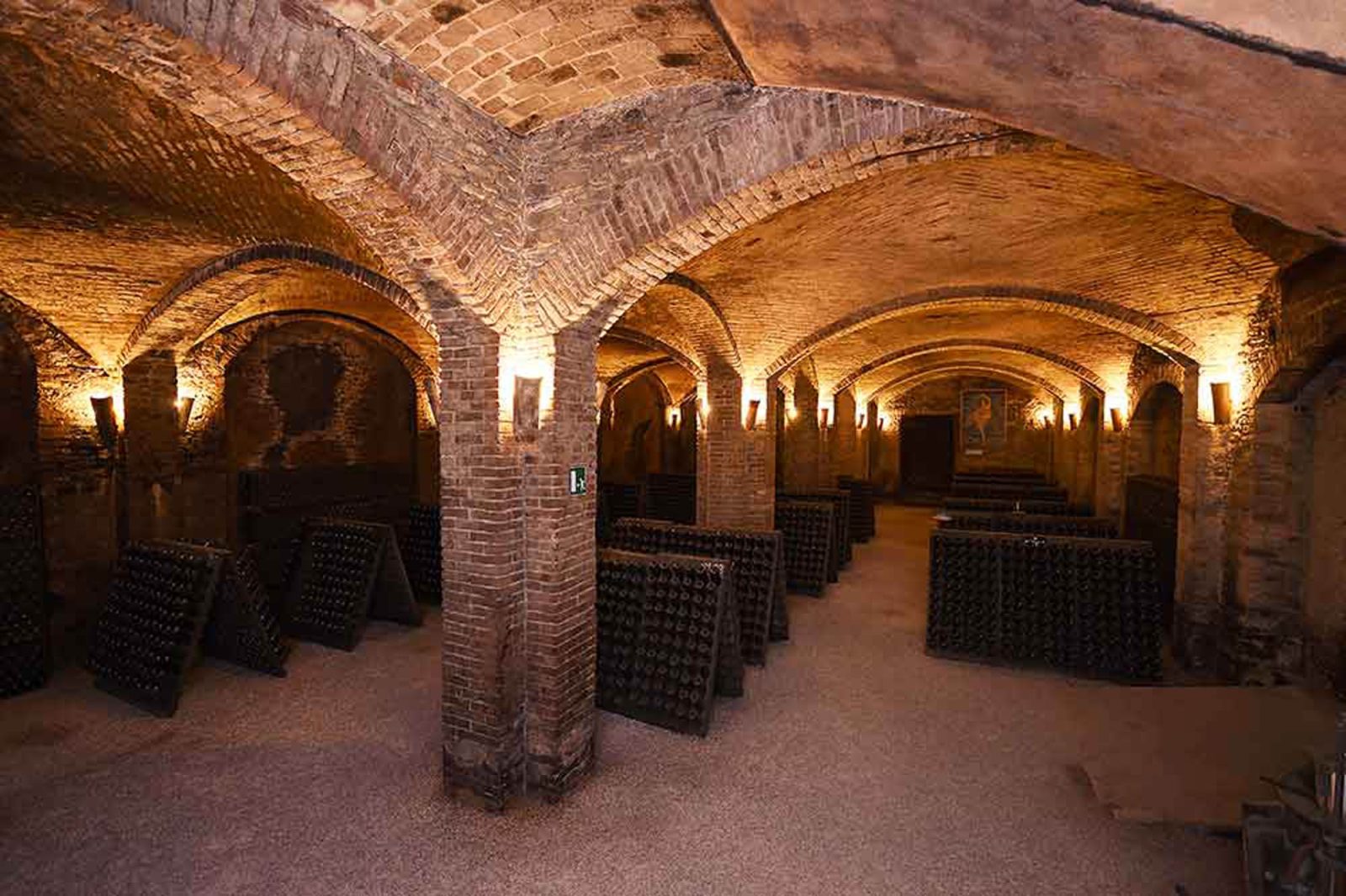 Exclusive wine tastings - Langhe Experience Tours and Events