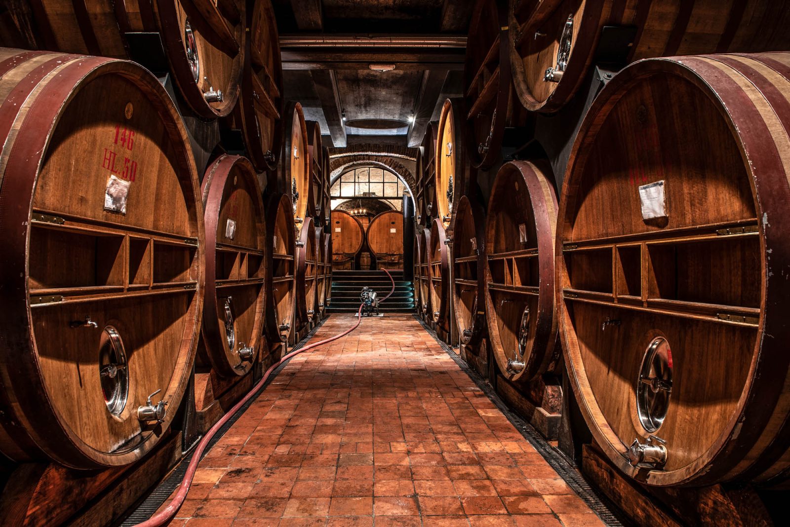 Exclusive wine tastings - Langhe Experience Tours and Events