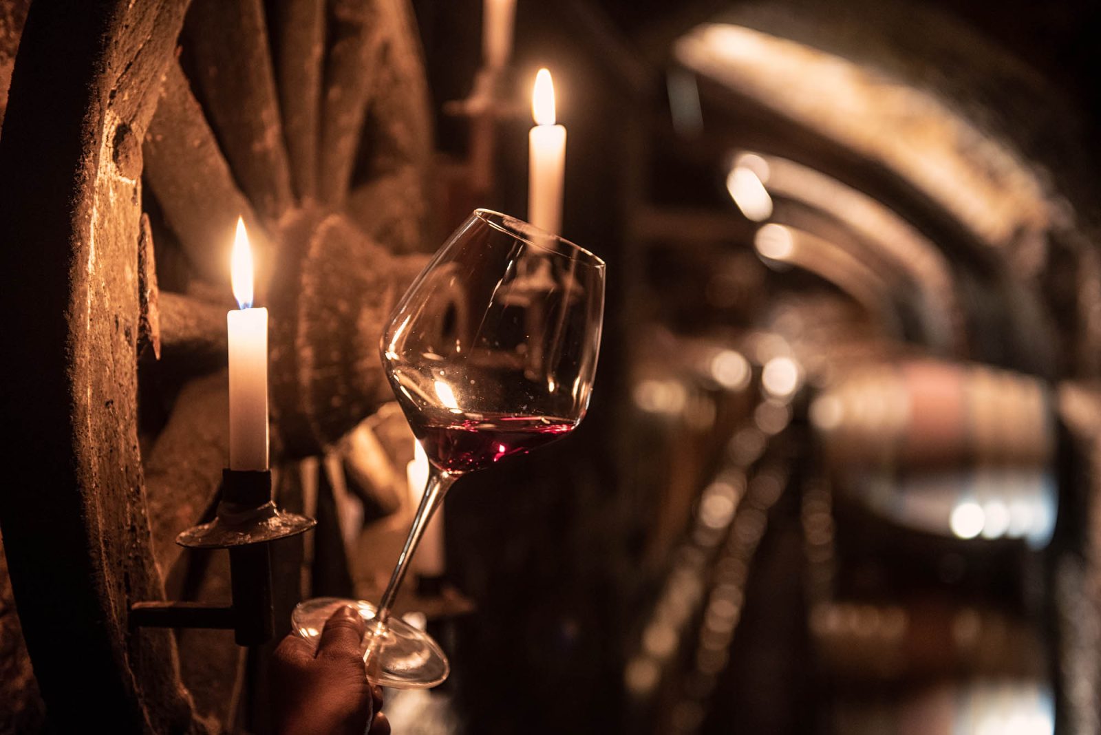 Exclusive wine tastings - Langhe Experience Tours and Events
