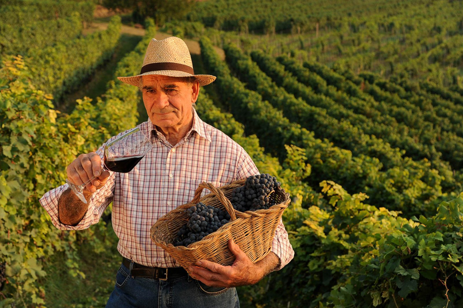 Exclusive wine tastings - Langhe Experience Tours and Events